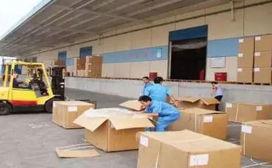 如何减免进出口货物滞报金 国内贸易代理操作指南