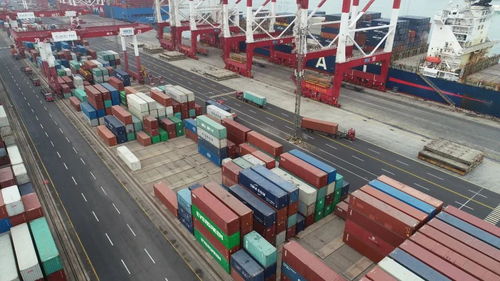 9月起实施新规 货物进出口便利化与规范管理全面升级