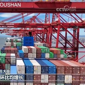 今年前7个月我国货物贸易进出口同比增长6.2% 展现强劲韧性