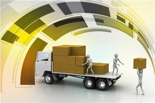 暂时进出口与国内贸易代理 流程、定义与应用解析